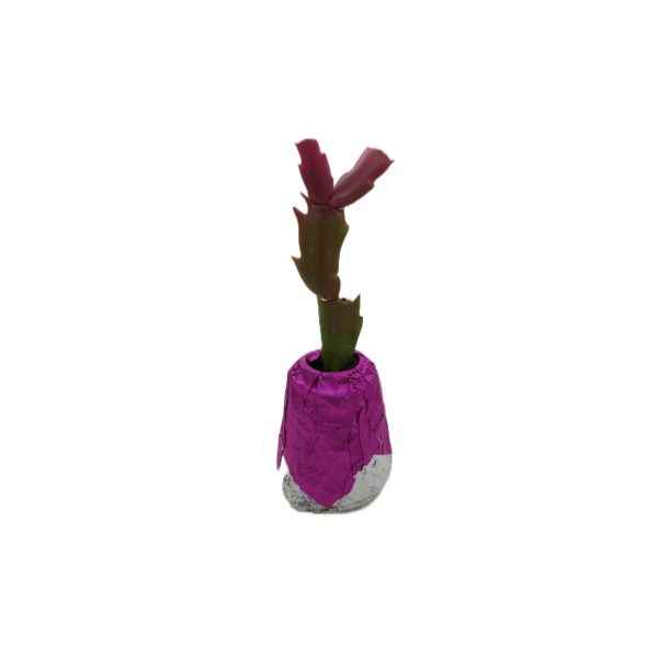 Mini Ghiveci cu Plantă Naturală - imagine 2