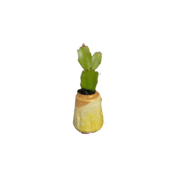 Mini Ghiveci cu Plantă Naturală - imagine 3