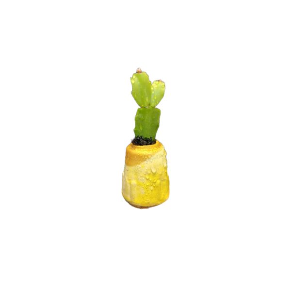 Mini Ghiveci cu Plantă Naturală - imagine 4